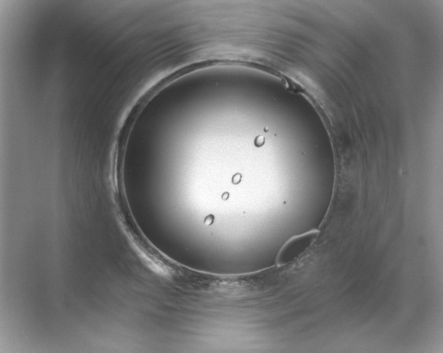 X0000071961128200607212245