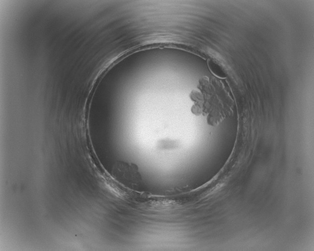 X0000071961129200607212245