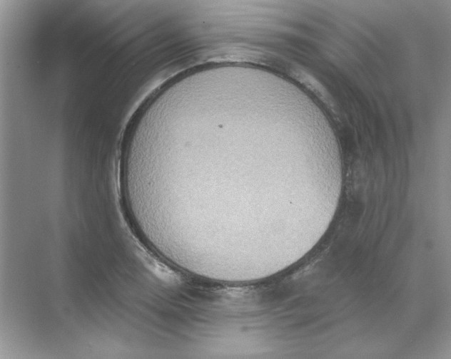 X0000071961130200607212245