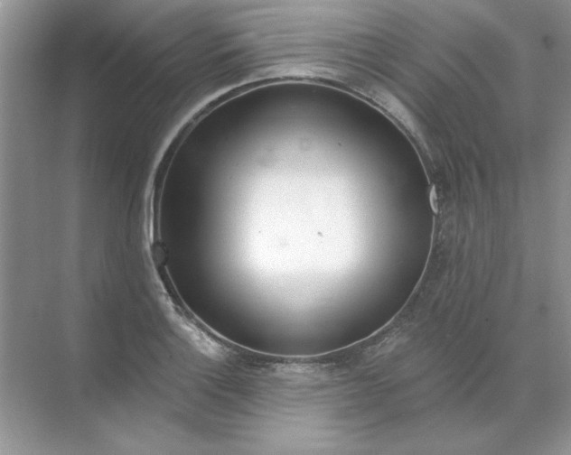 X0000071961132200607212245