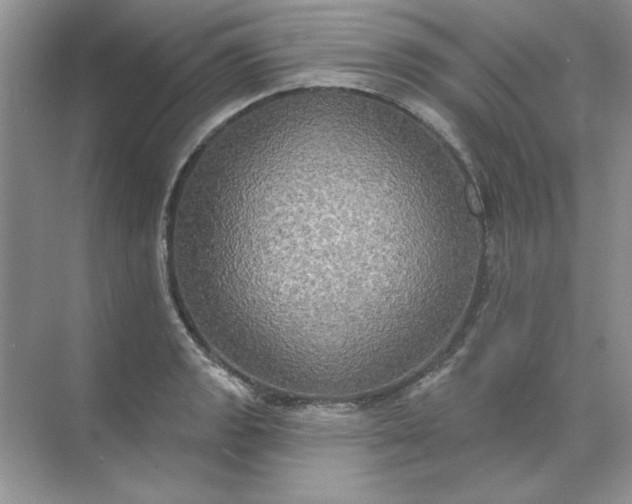 X0000071961133200607212245