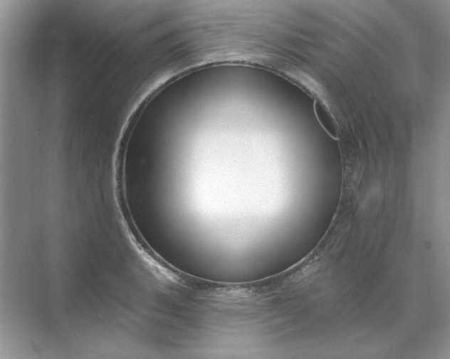 X0000071961135200607212245