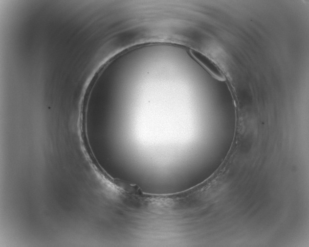 X0000071961136200607212245