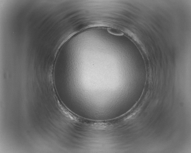 X0000071961137200607212245