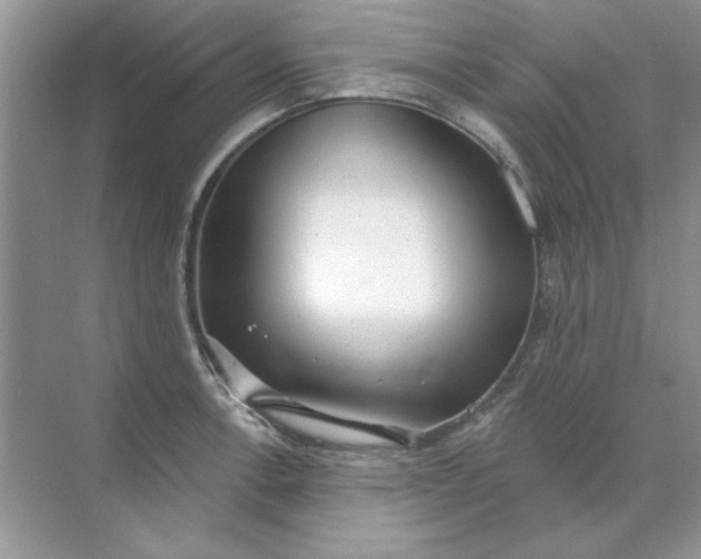 X0000071961138200607212245