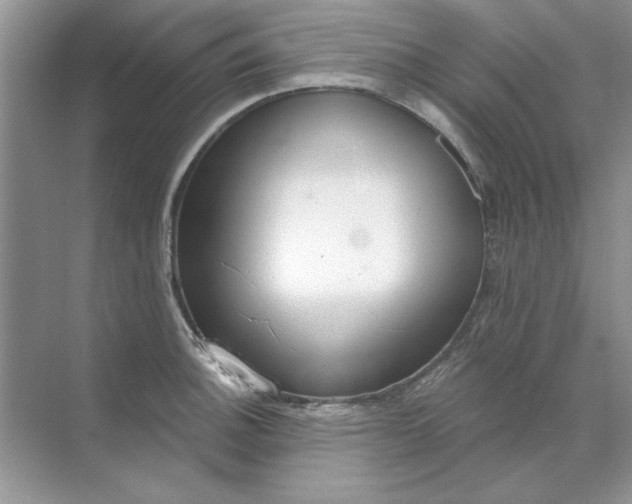 X0000071961140200607212245