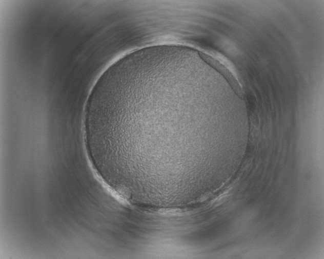 X0000071961142200607212245