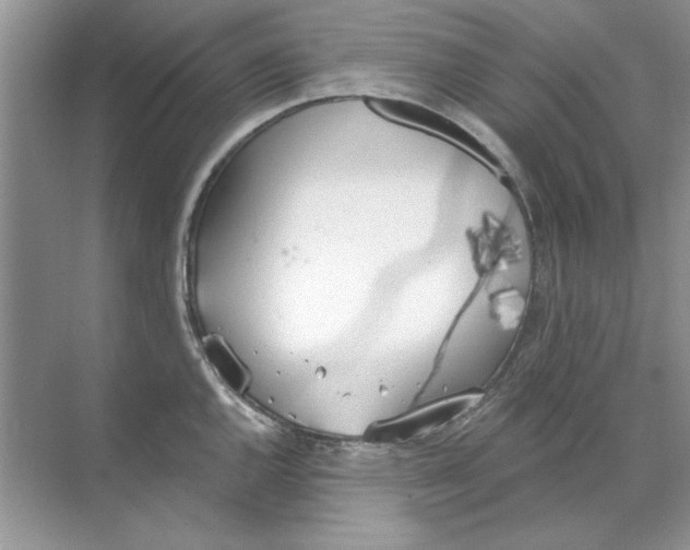 X0000071961144200607212246