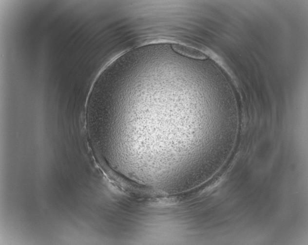 X0000071961145200607212246