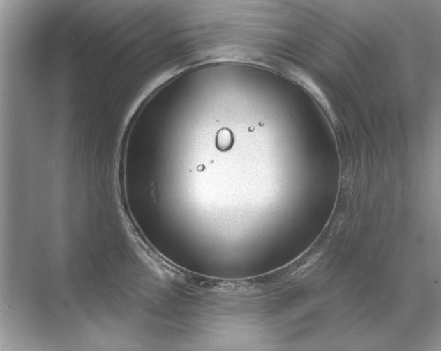 X0000071961146200607212246