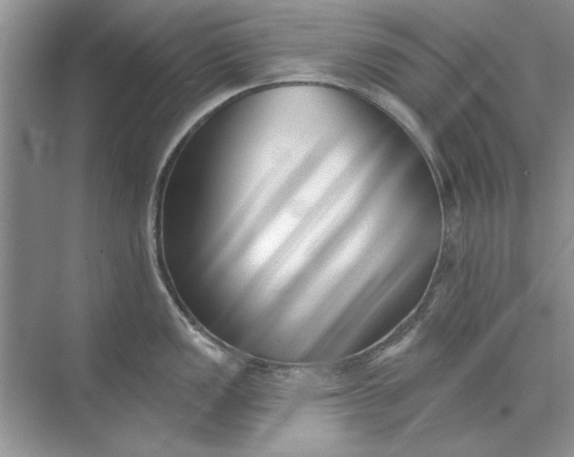 X0000071961149200607212246