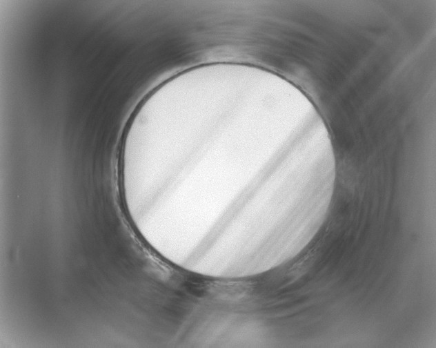 X0000071961150200607212246