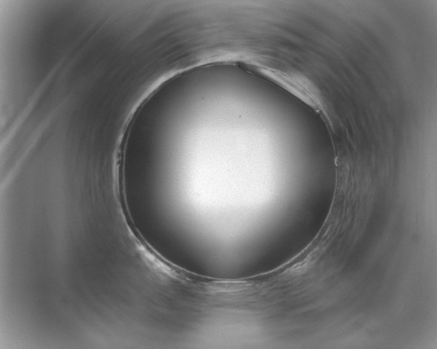 X0000071961151200607212246