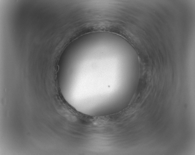 X0000071961153200607212245