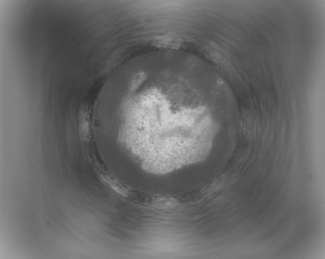 X0000071961154200607212245