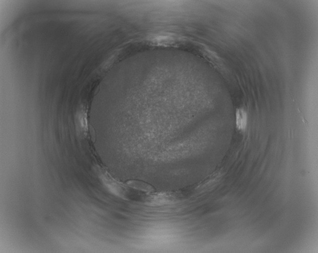 X0000071961155200607212245