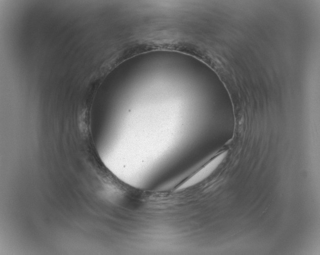 X0000071961156200607212245