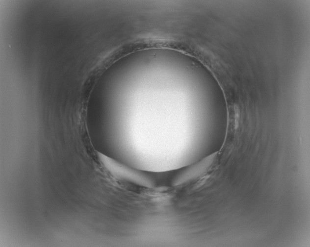 X0000071961157200607212245