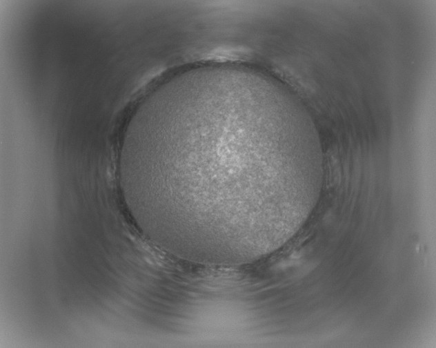 X0000071961158200607212245