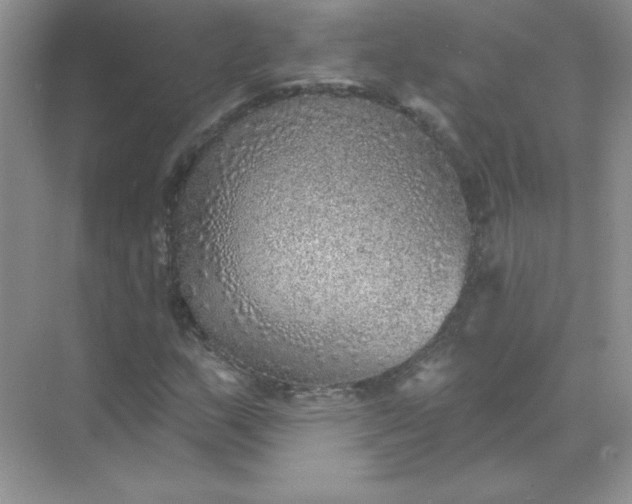 X0000071961159200607212245