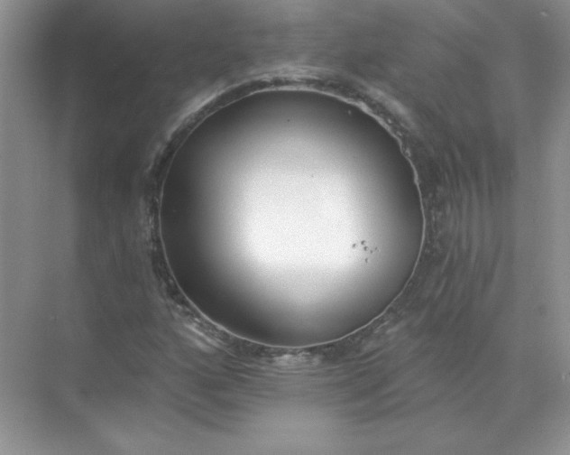 X0000071961160200607212245