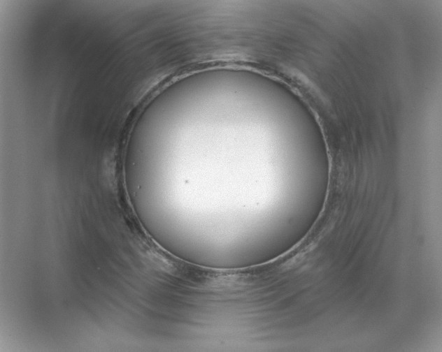 X0000071961162200607212245