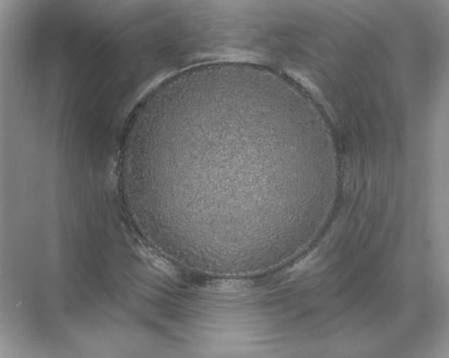 X0000071961163200607212245