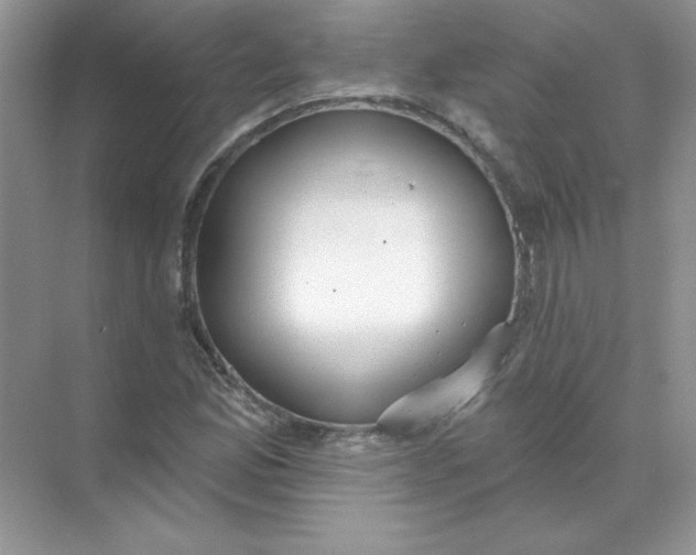 X0000071961165200607212245