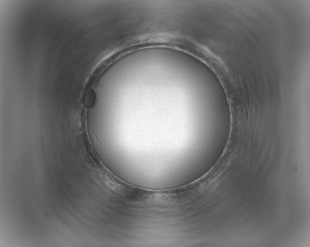 X0000071961166200607212245