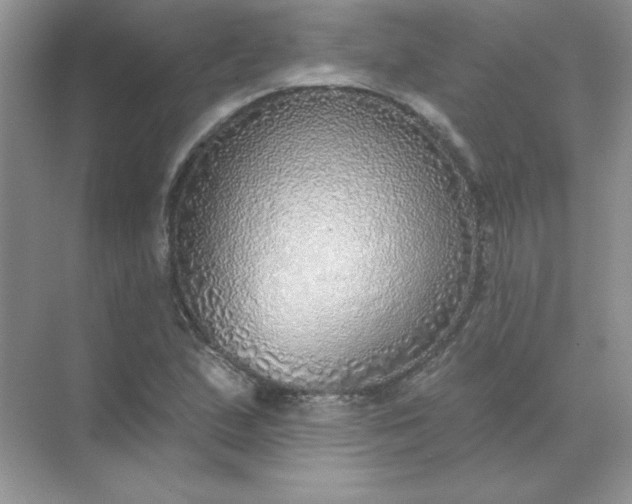 X0000071961167200607212245