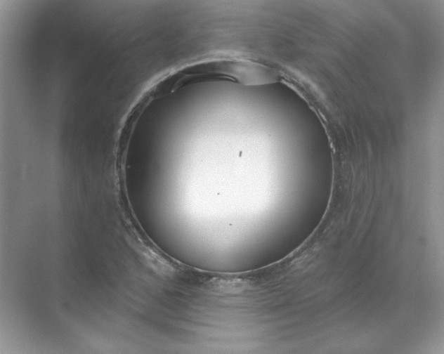 X0000071961168200607212245