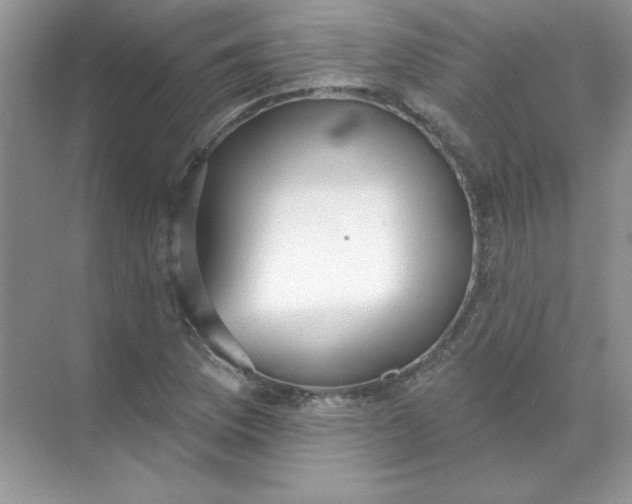 X0000071961169200607212245