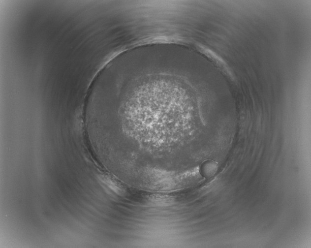 X0000071961170200607212245