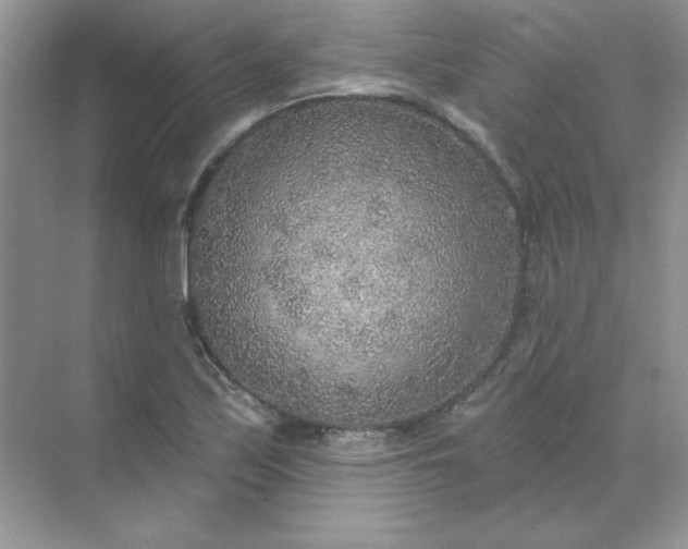 X0000071961171200607212245