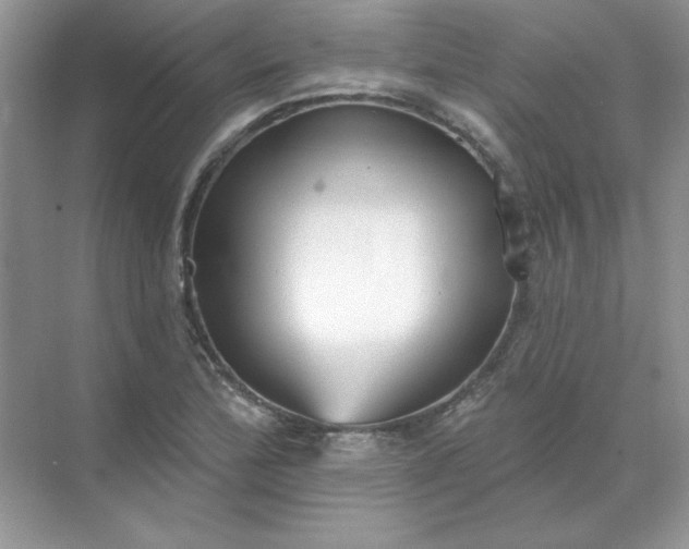 X0000071961172200607212245