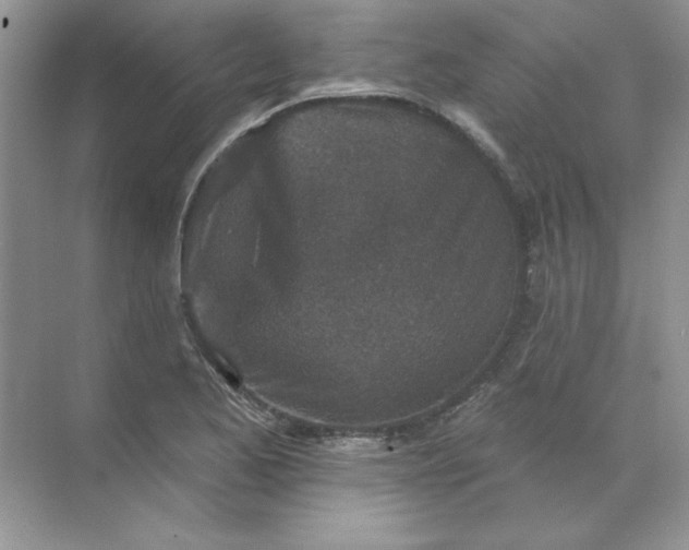 X0000071961173200607212245