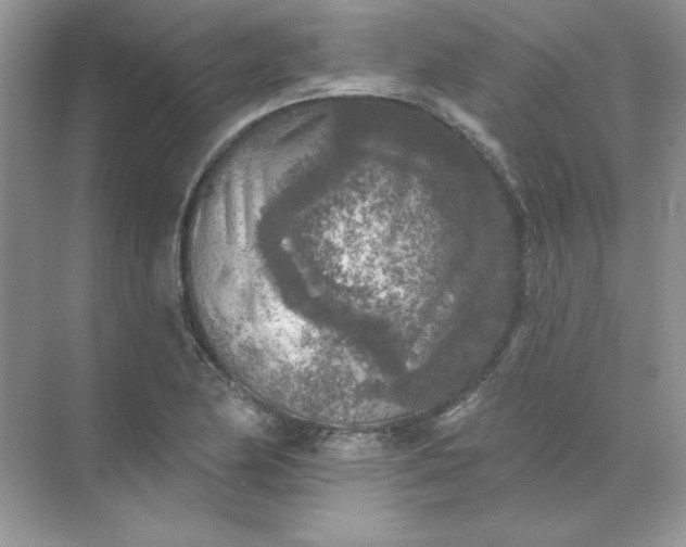 X0000071961174200607212244