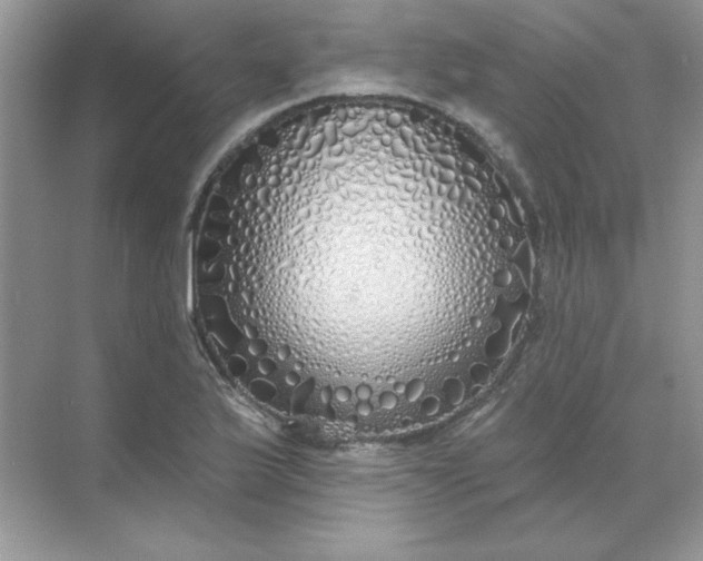 X0000071961175200607212244