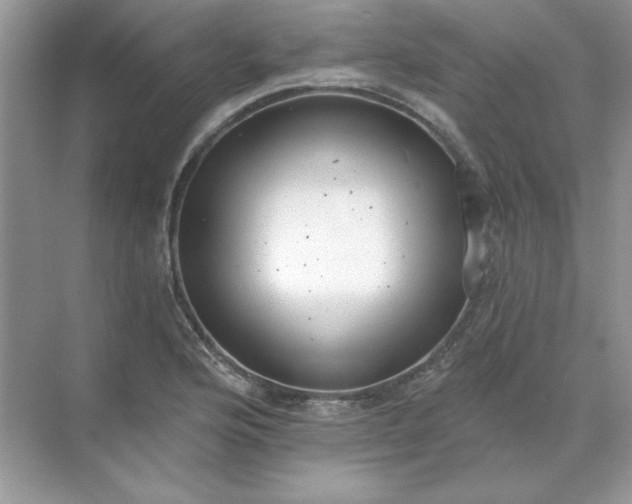 X0000071961176200607212244