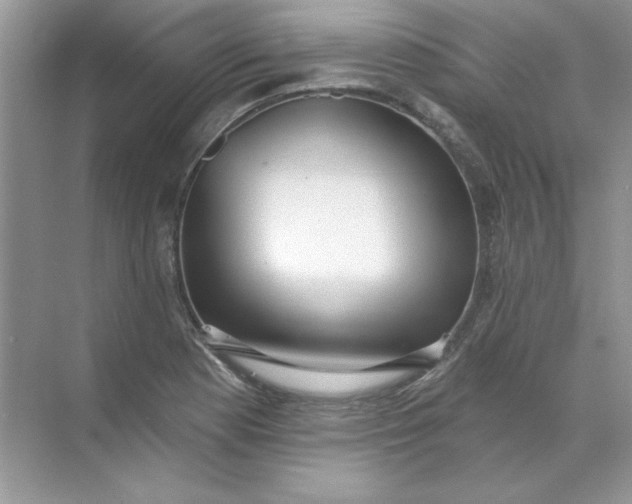 X0000071961177200607212244