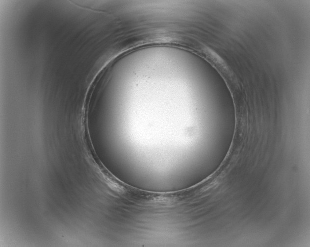 X0000071961178200607212244