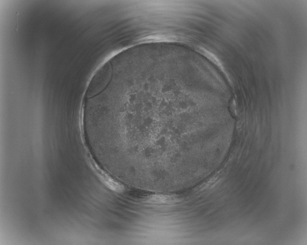 X0000071961179200607212244