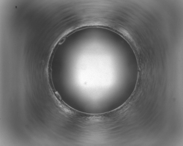 X0000071961181200607212244