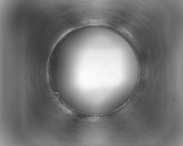 X0000071961182200607212244