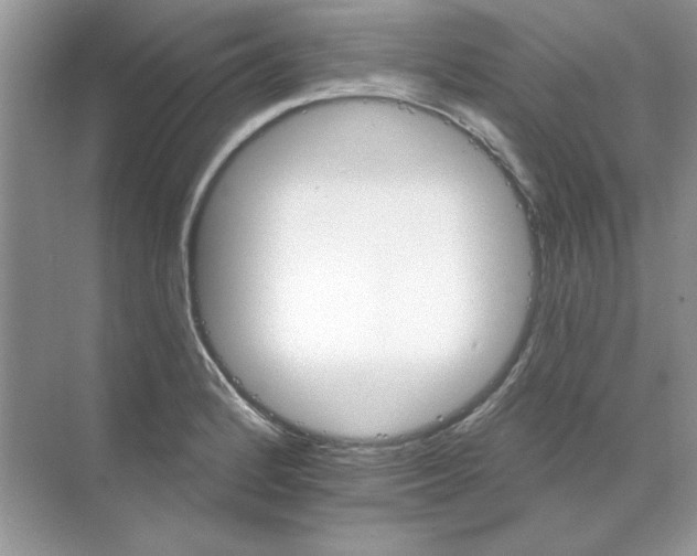 X0000071961184200607212244