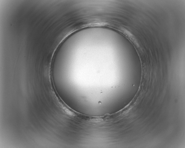 X0000071961186200607212244