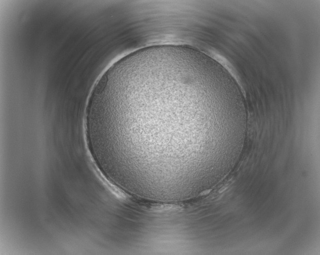 X0000071961187200607212244