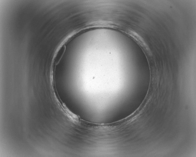 X0000071961188200607212244