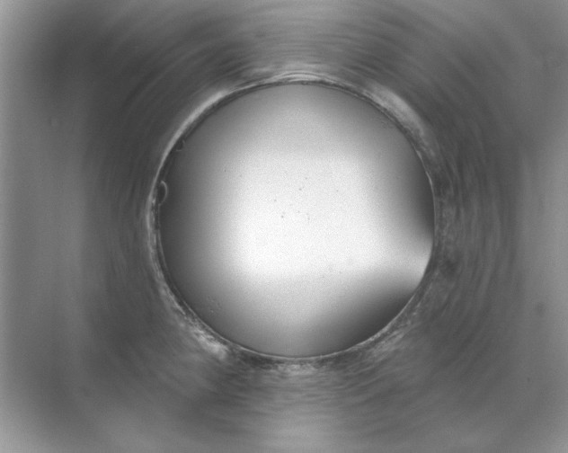 X0000071961190200607212244