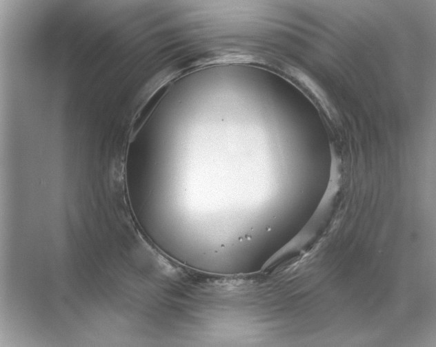 X0000071961193200607212244